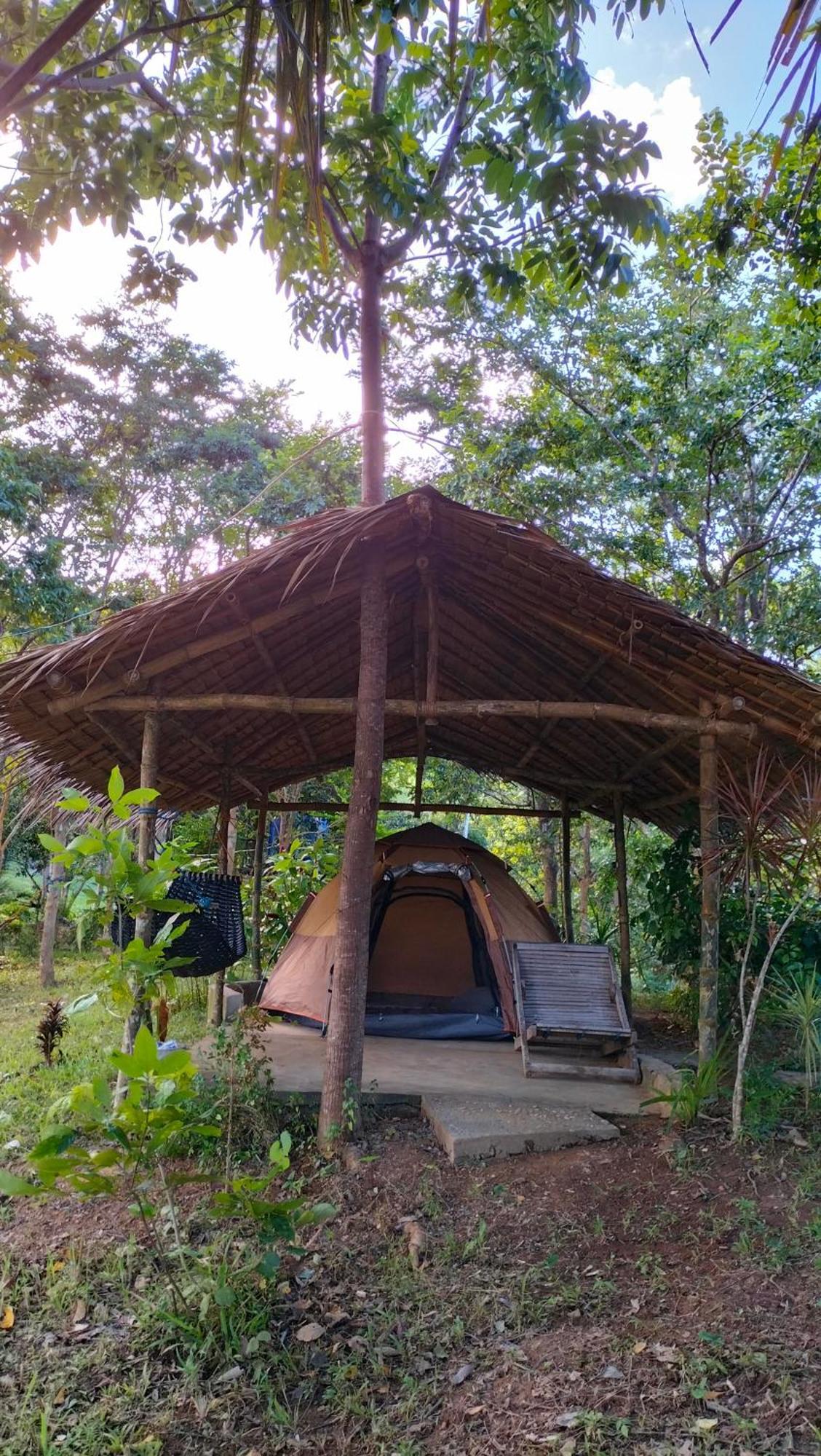 Erlittop Nature Lodge El Nido Extérieur photo